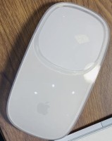 Apple mouse case